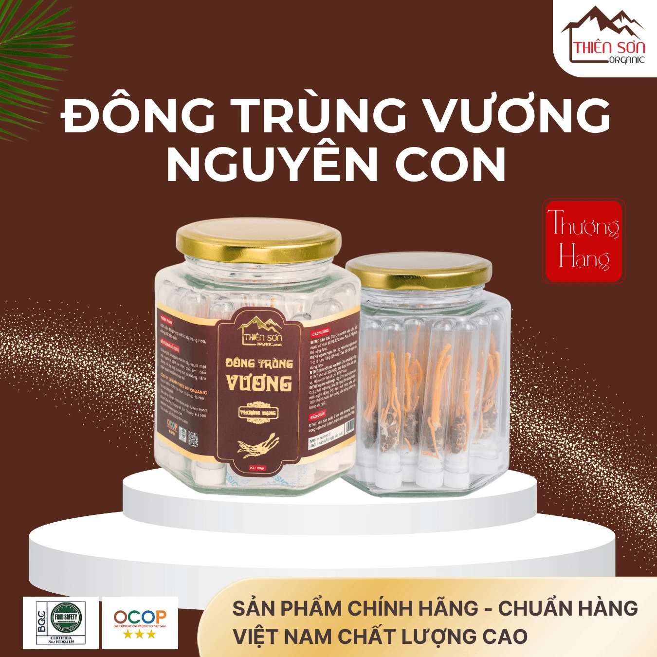 Đông trùng vương lọ 10 con